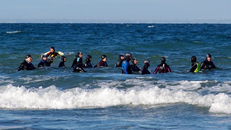 Association les Otaries