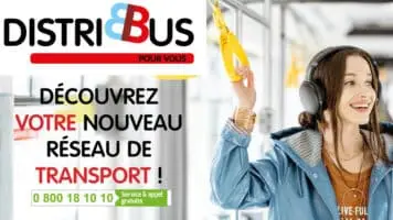 Distribus