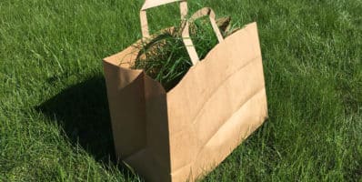 Gestion des déchets verts