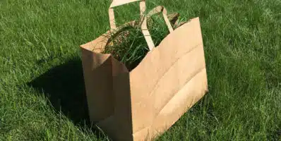 Gestion des déchets verts