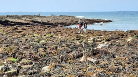 photo © Grand Site de France Cap d'Erquy - Cap Fréhel