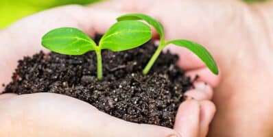 Semaine pour les alternatives aux pesticides