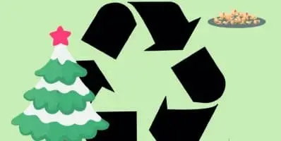 Recyclage des sapins de Noël