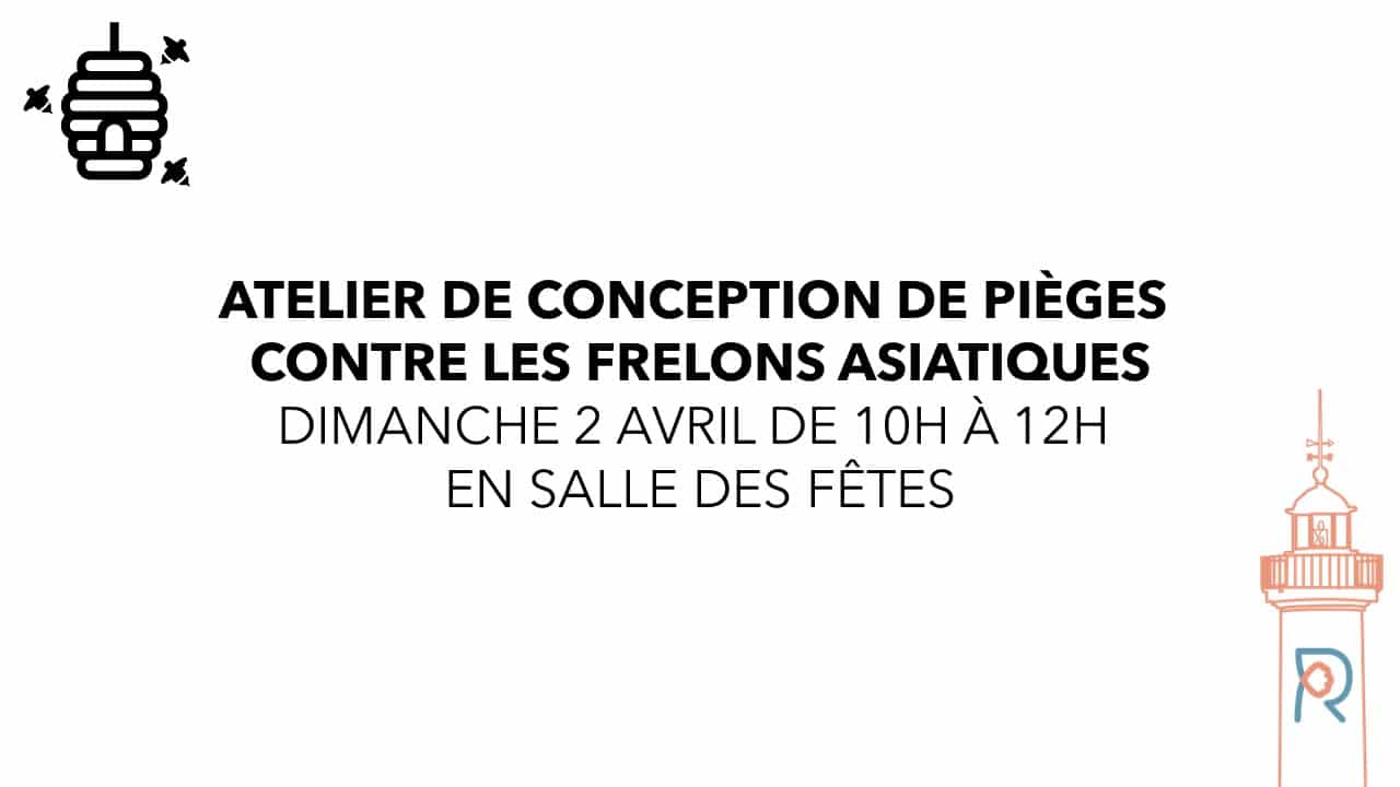atelier-frelons-asiatiques
