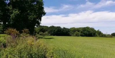Appel d’offres pour 5 ha d’activité en agriculture biologique à Erquy – La Couture