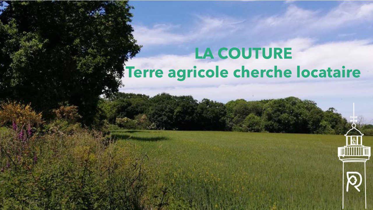 La Couture terre agricole cherche locataire