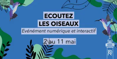 Écoutez les oiseaux – l’événement interactif et numérique