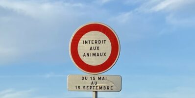 À compter du 15 mai les animaux sont interdits sur les plages d’Erquy