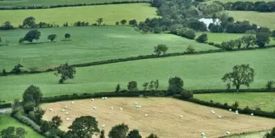 Inscriptions pour les élections 2025 à la chambre d’agriculture