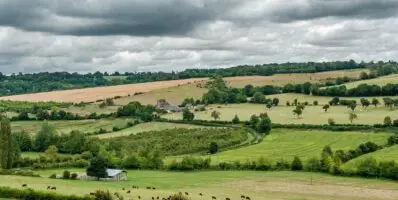 Avis de dépôt des listes électorales définitives des membres des chambres d’agriculture