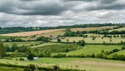 Paysage agricole de champ, pâturage et bocage. Crédit Pixabay