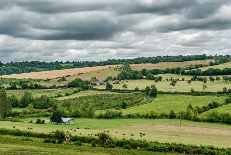 Paysage agricole de champ, pâturage et bocage. Crédit Pixabay