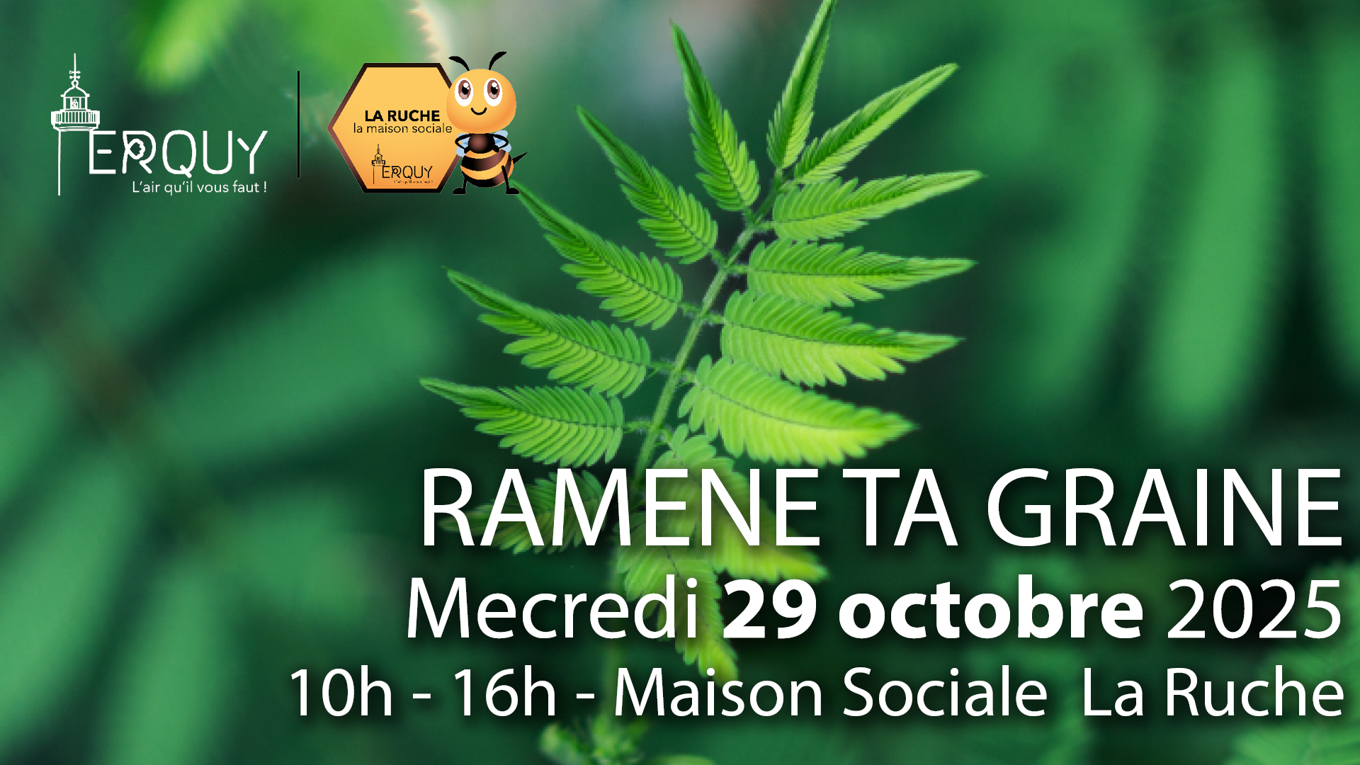 Ramène ta graine