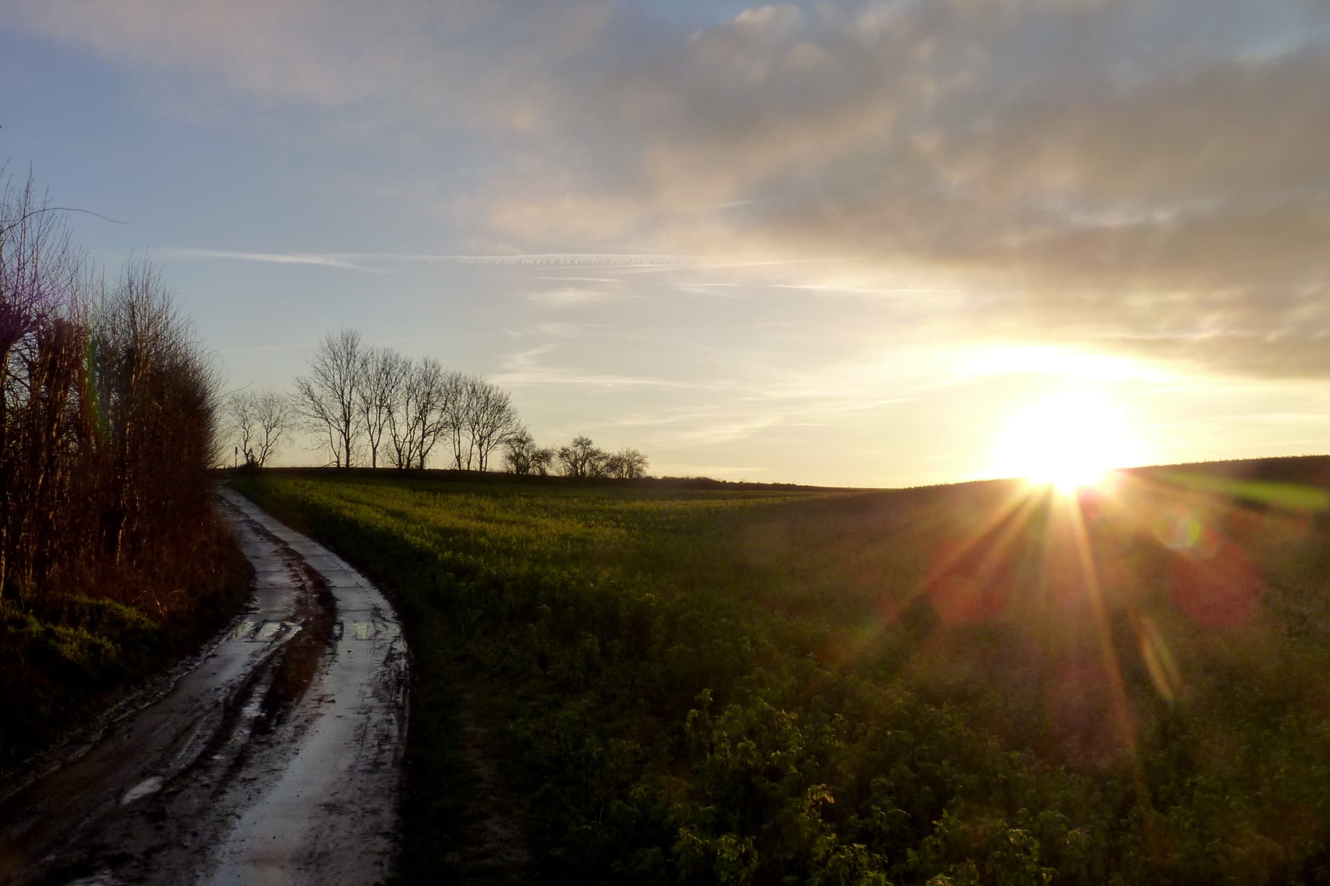 oupeye-campagne-entre-hermee-et-heure-le-romain-photo-bernard-jacqmin