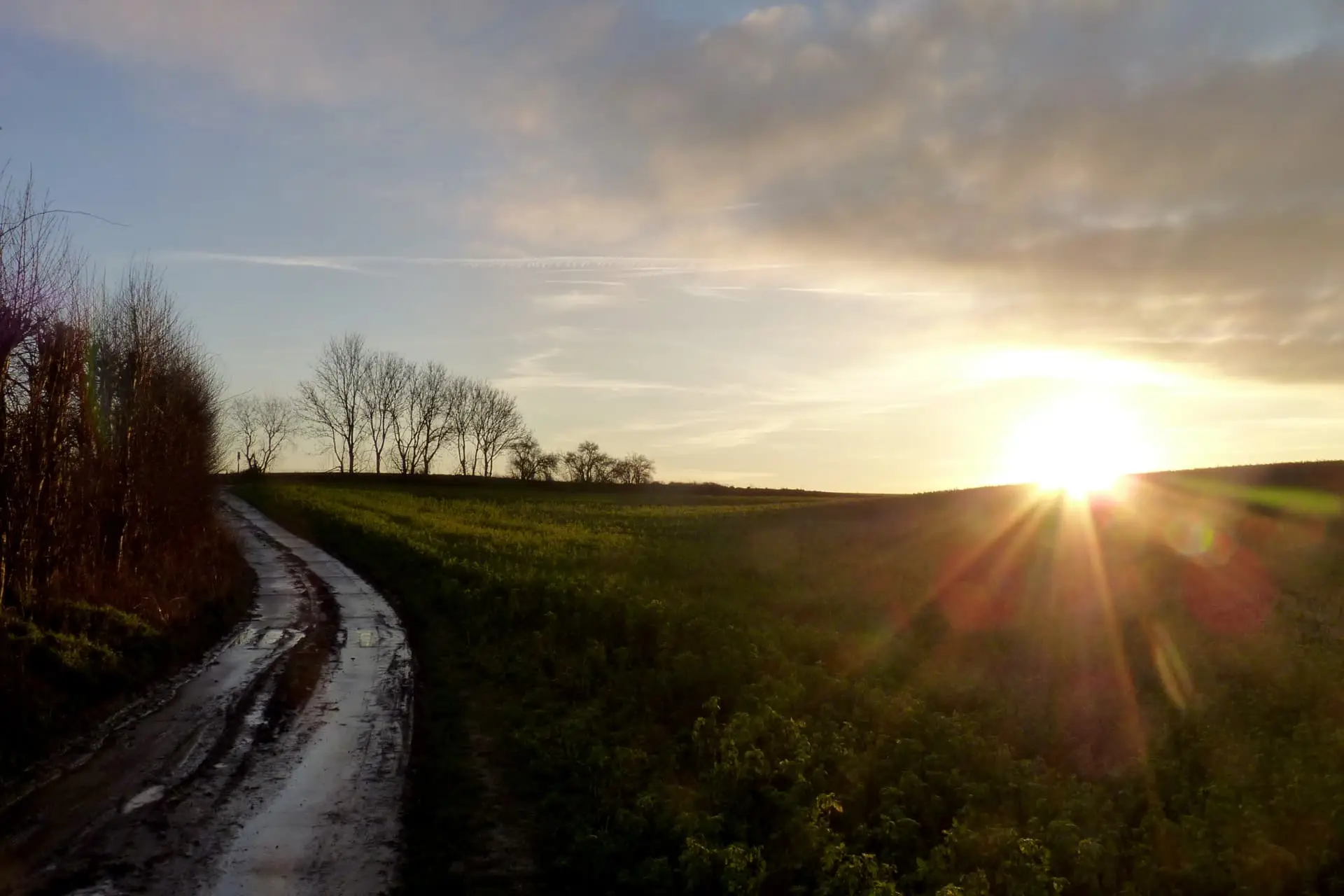oupeye-campagne-entre-hermee-et-heure-le-romain-photo-bernard-jacqmin