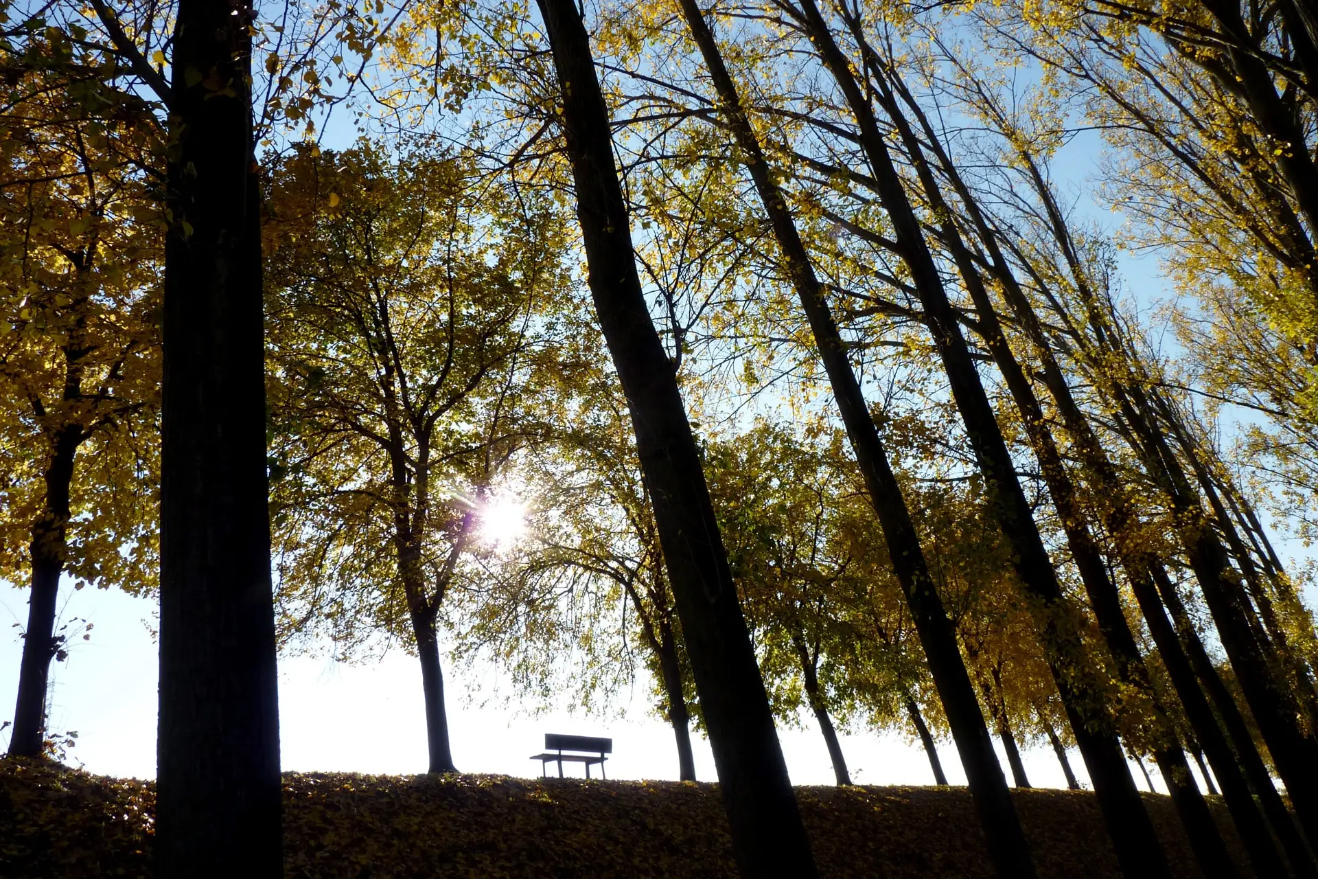 oupeye-halte-repos-le-long-du-canal-a-haccourt-photo-bernard-jacqmin