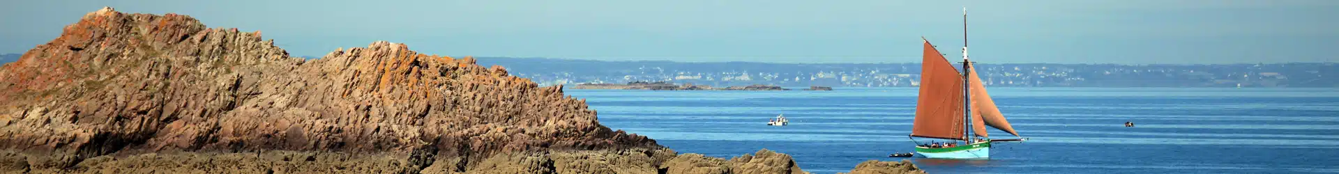 Formation à la lutte contre les taupes