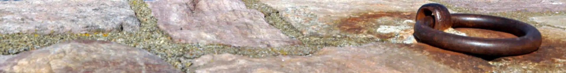 Agir pour les hirondelles en Côtes-d’Armor
