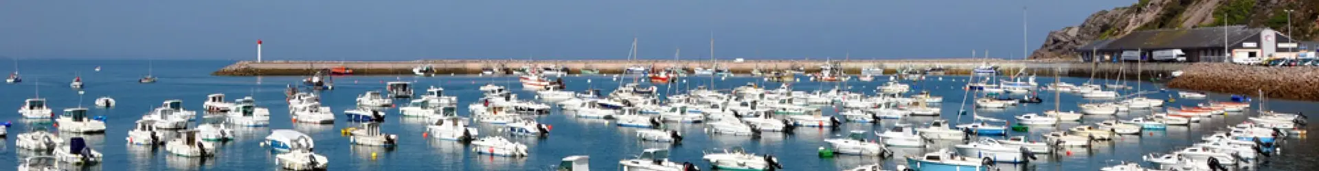 La plage est un milieu vivant